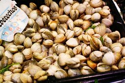 Display of Middle Neck Clams at a Market in Spain