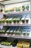 Assorted edible shoots in the chiller cabinet at the supermarket