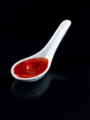 A spoonful of tomato and chilli chutney