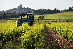 Vineyard cultivation with a highrise tractor and Chateauneuf-du-Pape in the background