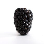A blackberry
