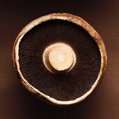 The underside of a portobello mushroom