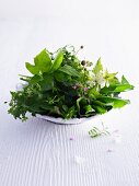 Fresh wild herbs on a plate