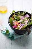 Brunnenkressesalat mit Wassermelonenrettich, Essblüten und Baby-Karotten