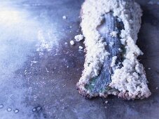 Mullet in a salt crust