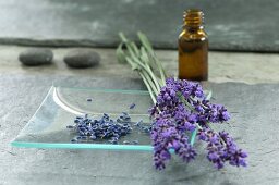 Dried lavender, posy of fresh lavender and small bottle of lavender oil