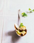 Venus clams on a spoon with cucumber