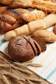 Verschiedene Brote und Brötchen, Getreideähren