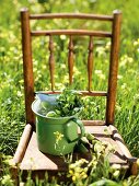 Lime and herb lemonade in a milk jug