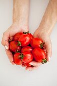 A woman's hands holding fresh tomatoes