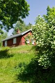 Blick von der Wiese auf kleines skandinavisches Holzhäuschen im sommerlichen Sonnenschein