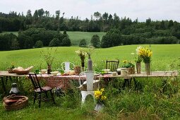 Table in meadow set for Norwegian summer festival