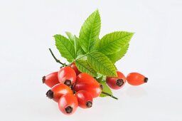 Rose hips with leaves