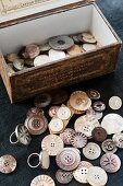 Finely carved buttons made of shell