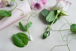 Paper cones being decorated with cornflowers and vetches