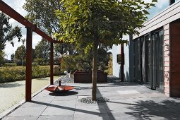 Tree planted in forecourt paved with grey stone flags in front of building entrance in summery surroundings