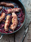 Venison roulade with red onions