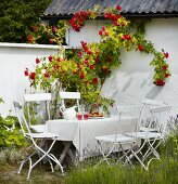 Gedeckter Tisch mit Stühlen neben dem weiß gestrichenem Haus mit Kletterrosen