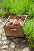 Empty flower pots in wooden crate in garden