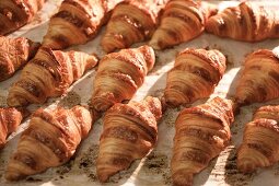 Croissants on a baking tray