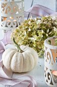 Autumnal table decoration with an ornamental squash and hydrangea flowers