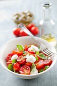 Tomato salad with mini mozzarella balls and basil