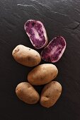 Blauer Schwede potatoes on a slate surface