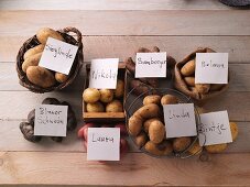 Various types of potatoes with labels