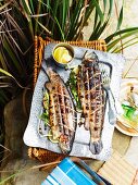 Grilled rainbow trout on a picnic basket outdoors