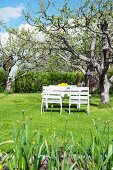 White-painted garden furniture below apple tree