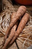 Three parsnips on a pile of raffia