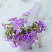 Violette Blumen (Storchschnabel) und beschriftete Karte im Topf auf Vintagebrett