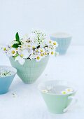 Daisies, apple blossom and sweet woodruff flowers in ceramic bowl