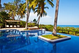 Exclusive pool complex with palm trees in pool and open view of ocean