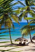 Parasol and wooden sun loungers below palm trees on Caribbean beach