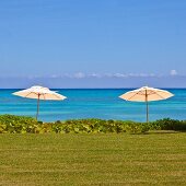 Two parasols between bright blue sea, lawns and tropical plants