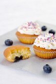 Blaubeer-Cupcake mit Frosting und bunten Zuckerperlen