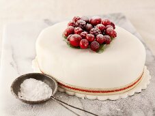 Weihnachtskuchen mit Cranberries und Puderzucker