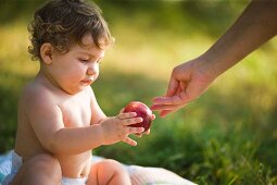 A small child looking at a ripe peach