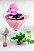 Yoghurt cream dessert with blackberries