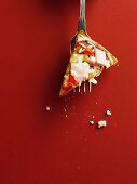 A slice of pizza on a fork
