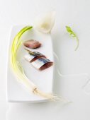 Sardinen mit Frühlingszwiebeln und gedünstetem Fenchel