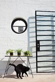 Port hole and glass door with lattice metal frame casting shadows; cat playing below plants on table