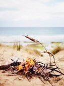Fish grilling on wooden sticks over a campfire on the beach