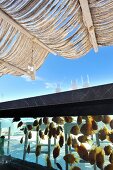 Überdachte Terrasse mit halbhohem Aquarium unter blauem Himmel