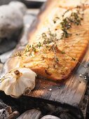 Salmon barbecued on cedar wood with thyme and garlic