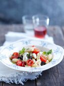 Malloreddus pasta with burrata cheese, tomatoes and black olives