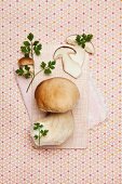 Porcini mushroom - still life