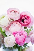 Bouquet of pink ranunculus