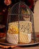 Assorted Types of Cheese on a Tray Under a Wire Lid